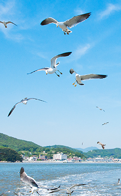 육성 및 지원